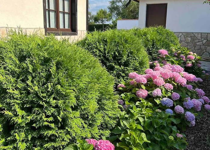 Garden 2 Bedroom With Pool Near To Sunny *